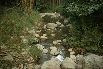 Torrente Vivo Castiglione d'Orcia No-Kill