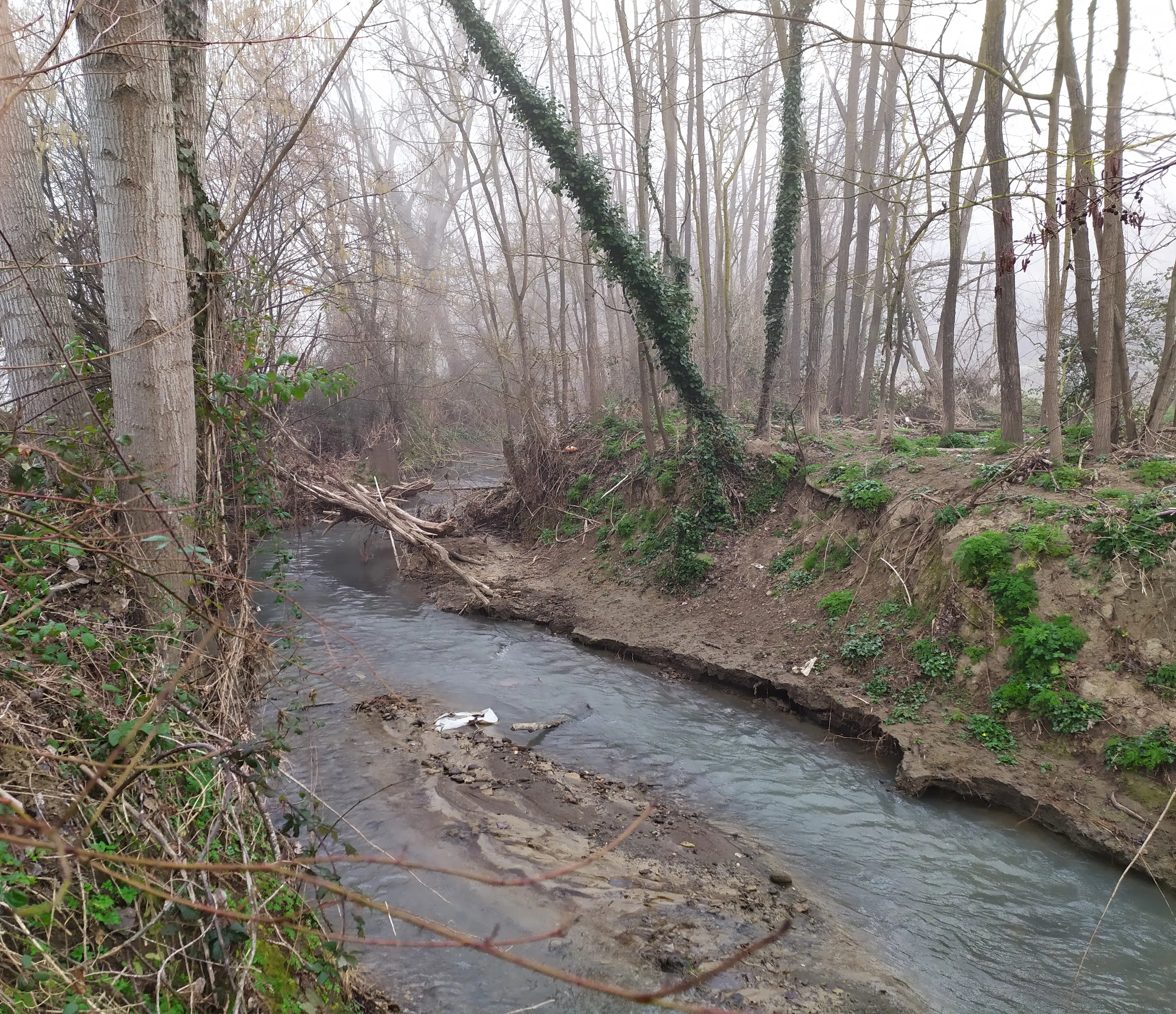 Torrente Rigo Radda in Chianti No-Kill
