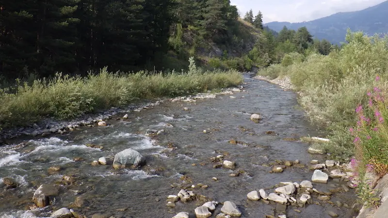 Torrente Ripa Cesana No-Kill