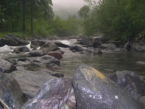 Torrente Stura di Ala No-Kill