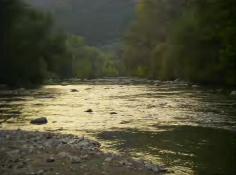 Fiume Sieve Pelago-Pontassieve No-Kill