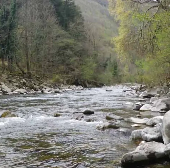 Fiume Senio Quadalto No-Kill