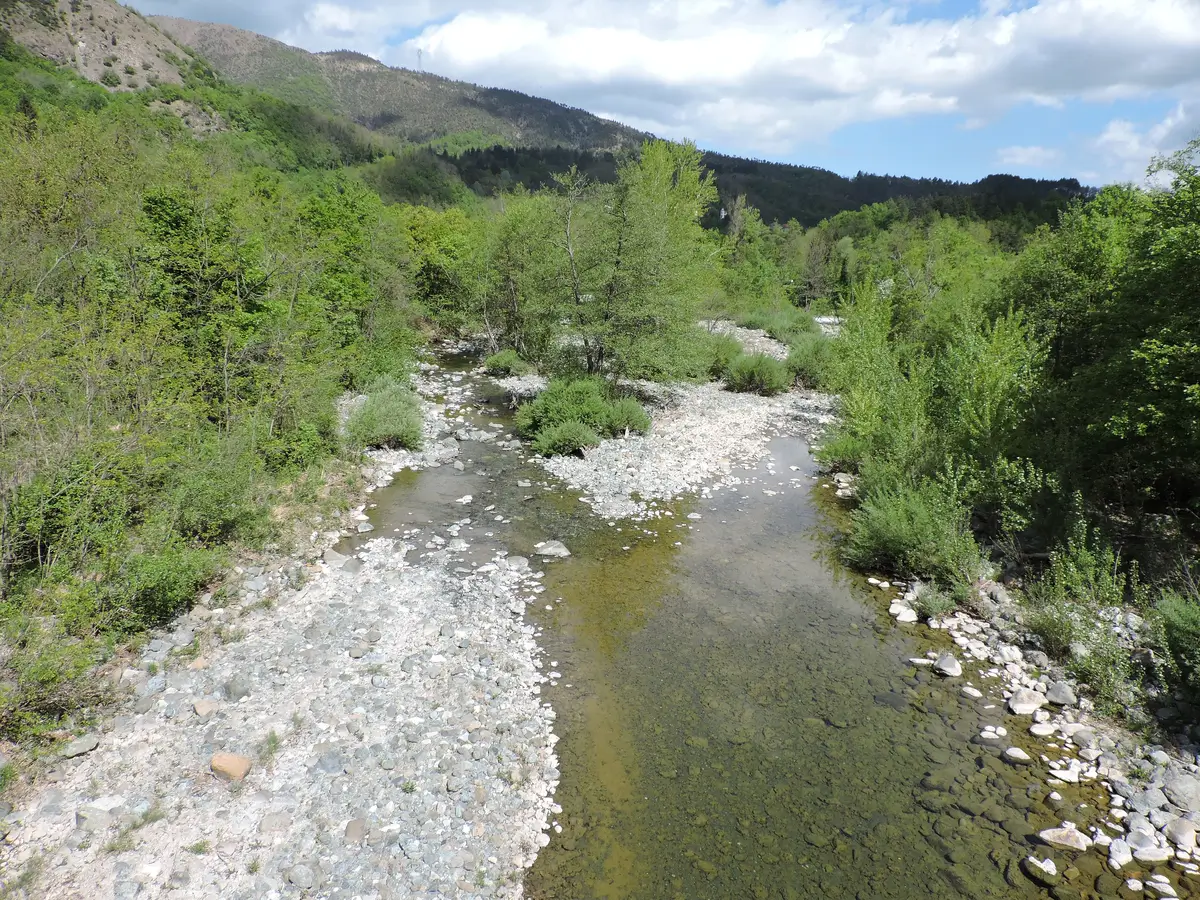 Torrente Olbicella Molare No-Kill