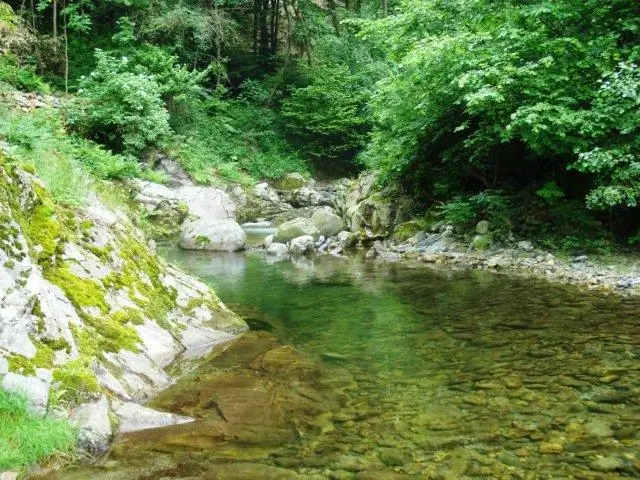 Torrente Elvo Sordevolo No-Kill