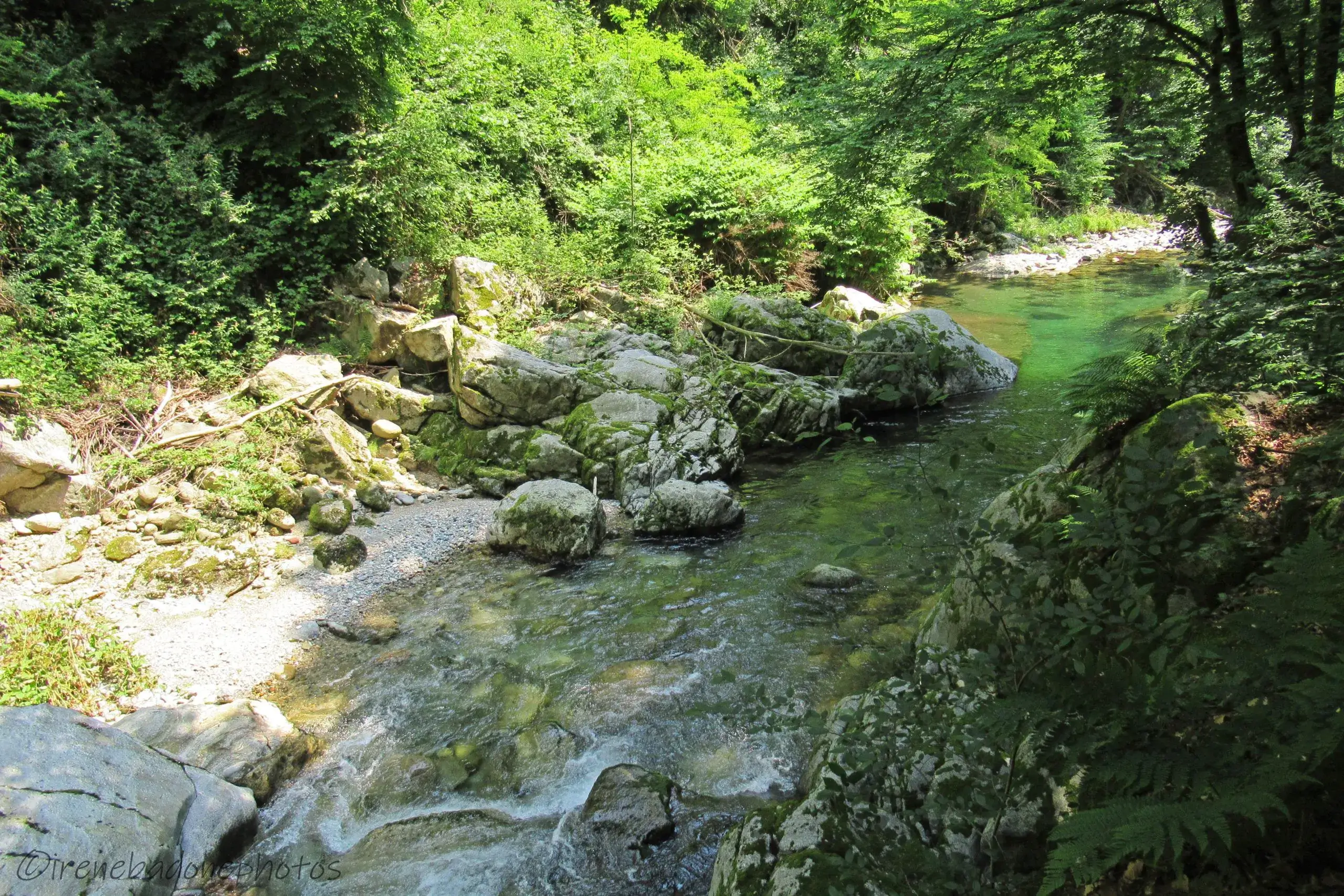 Torrente Oropa Biella No-Kill
