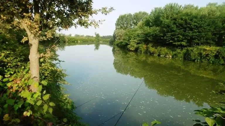 Torrente Cervo Formigliana No-Kill