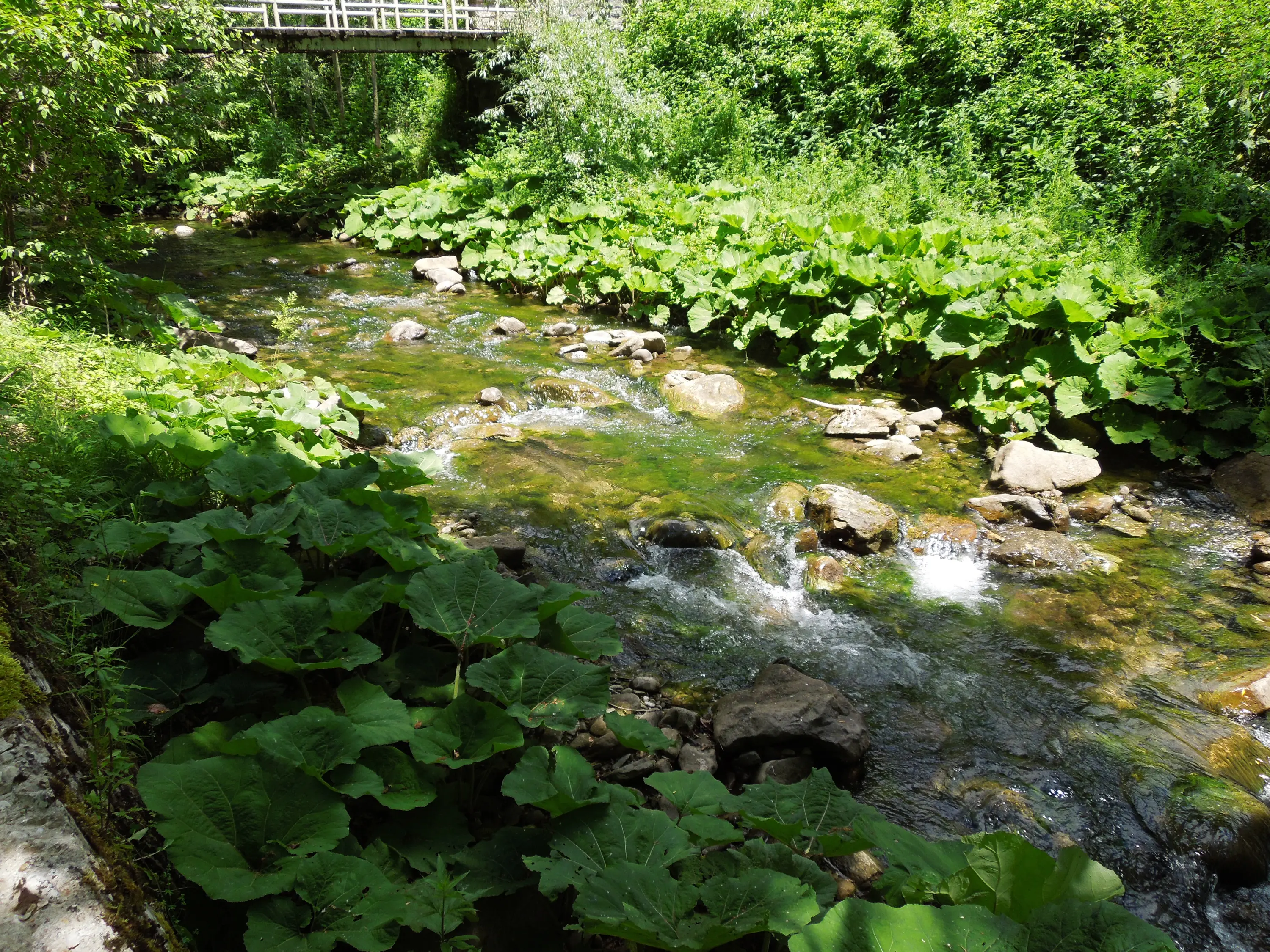 Fiume Tordino Teramo No-Kill