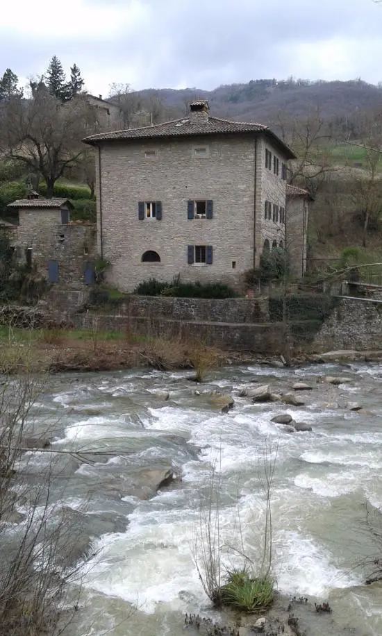 Torrente Savena Monzuno No-Kill