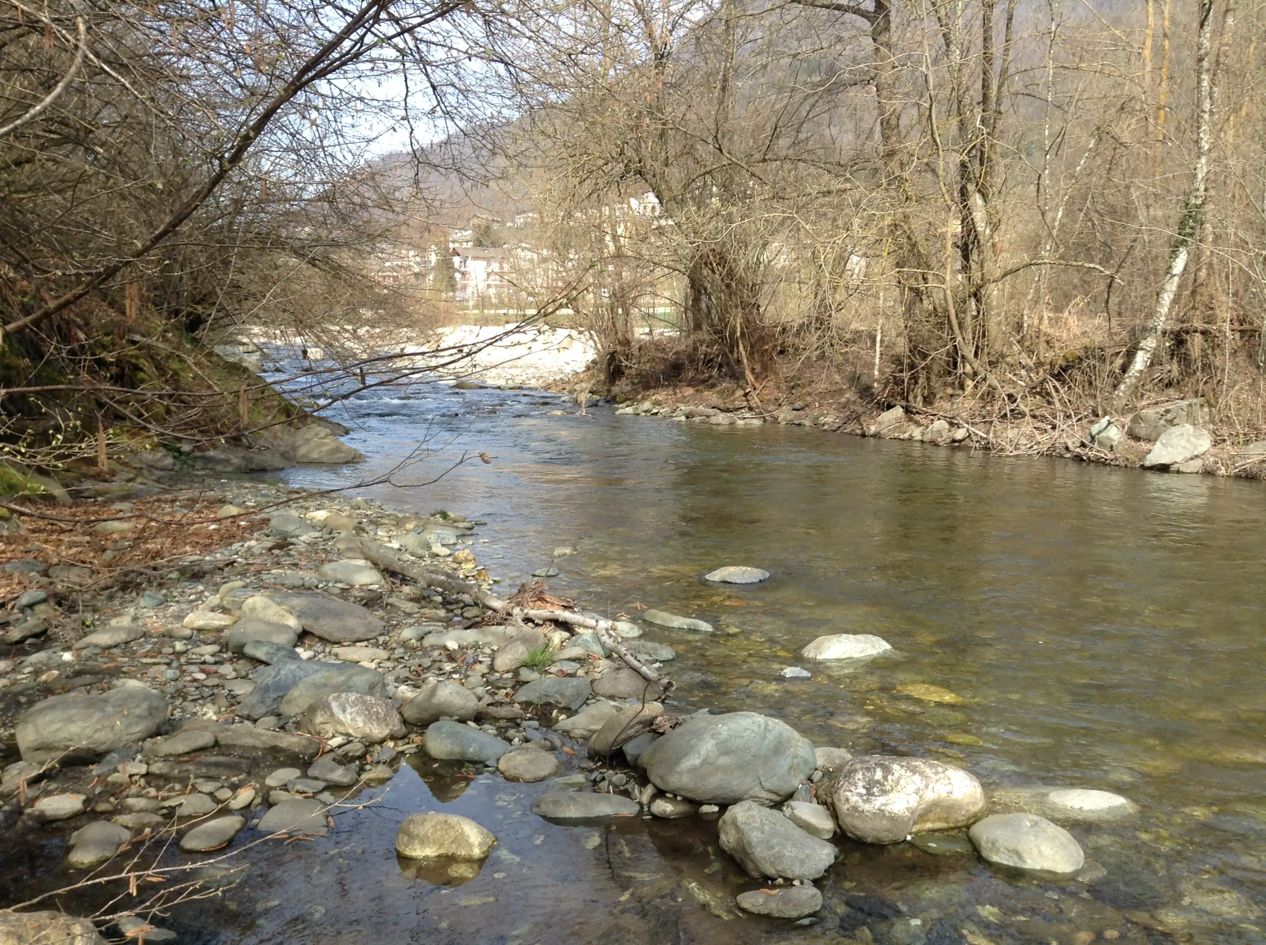 Torrente Varaita Rore-Frassino No-Kill