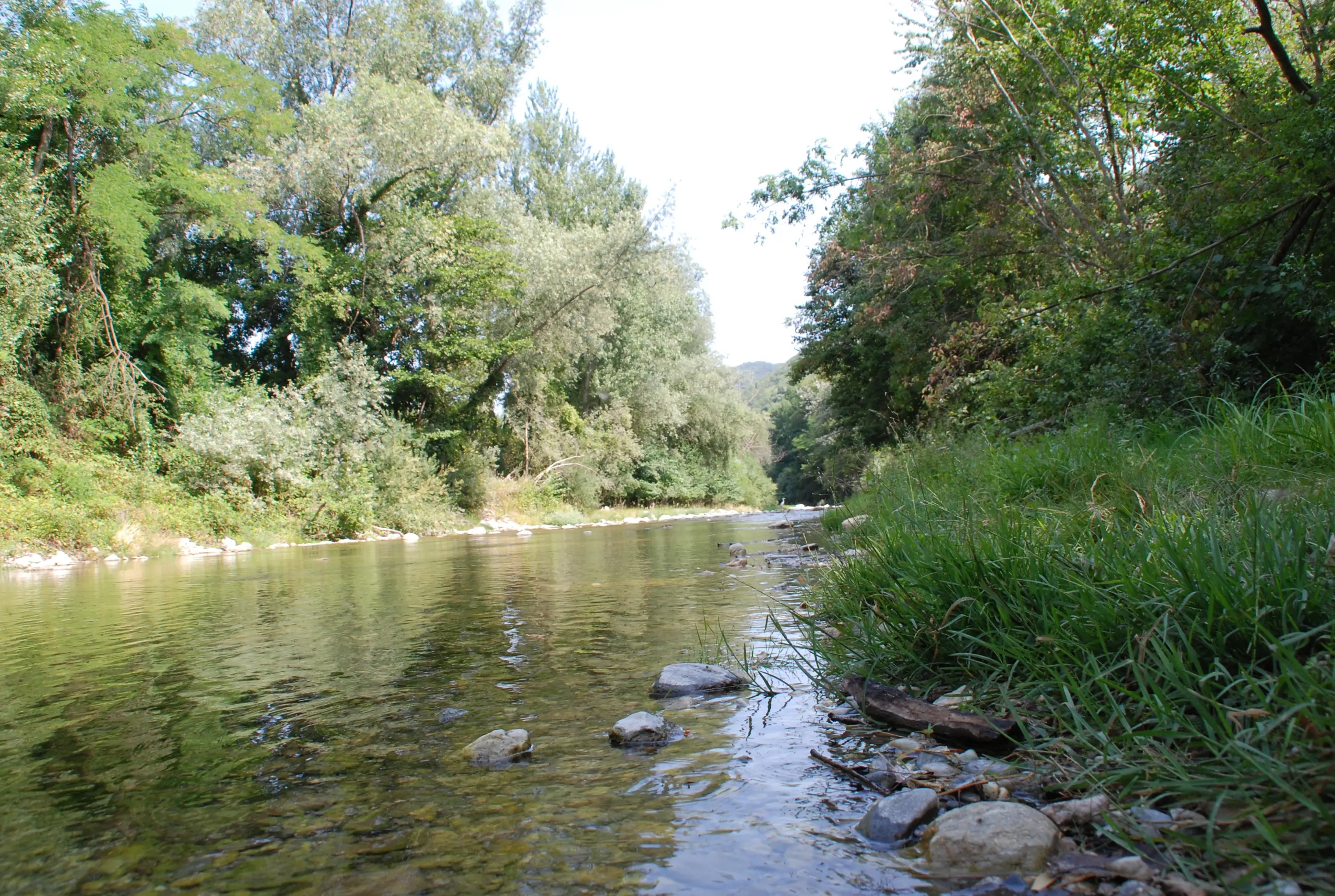 Torrente Maira Prazzo-Stroppo No-Kill