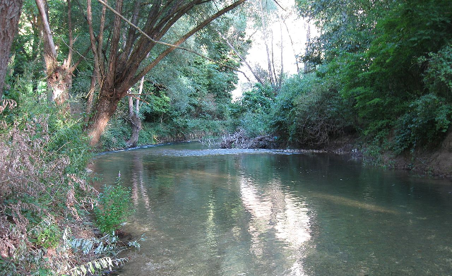 Fiume Aterno Raiano No-Kill