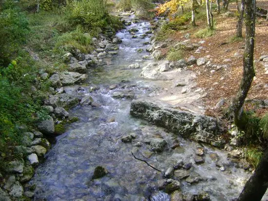 Torrente dello Schioppo La Grancia No-Kill