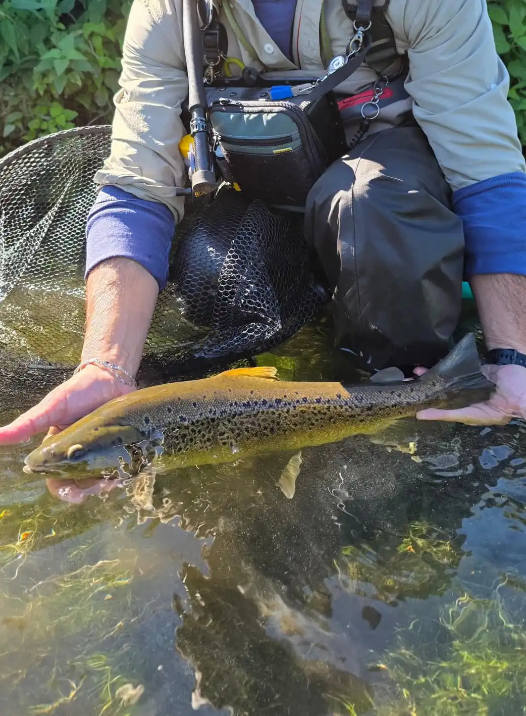 San Bartolomeo - Tratto Basso