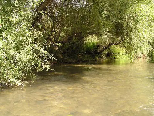 Fiume Pescara Turrivalignani No-Kill