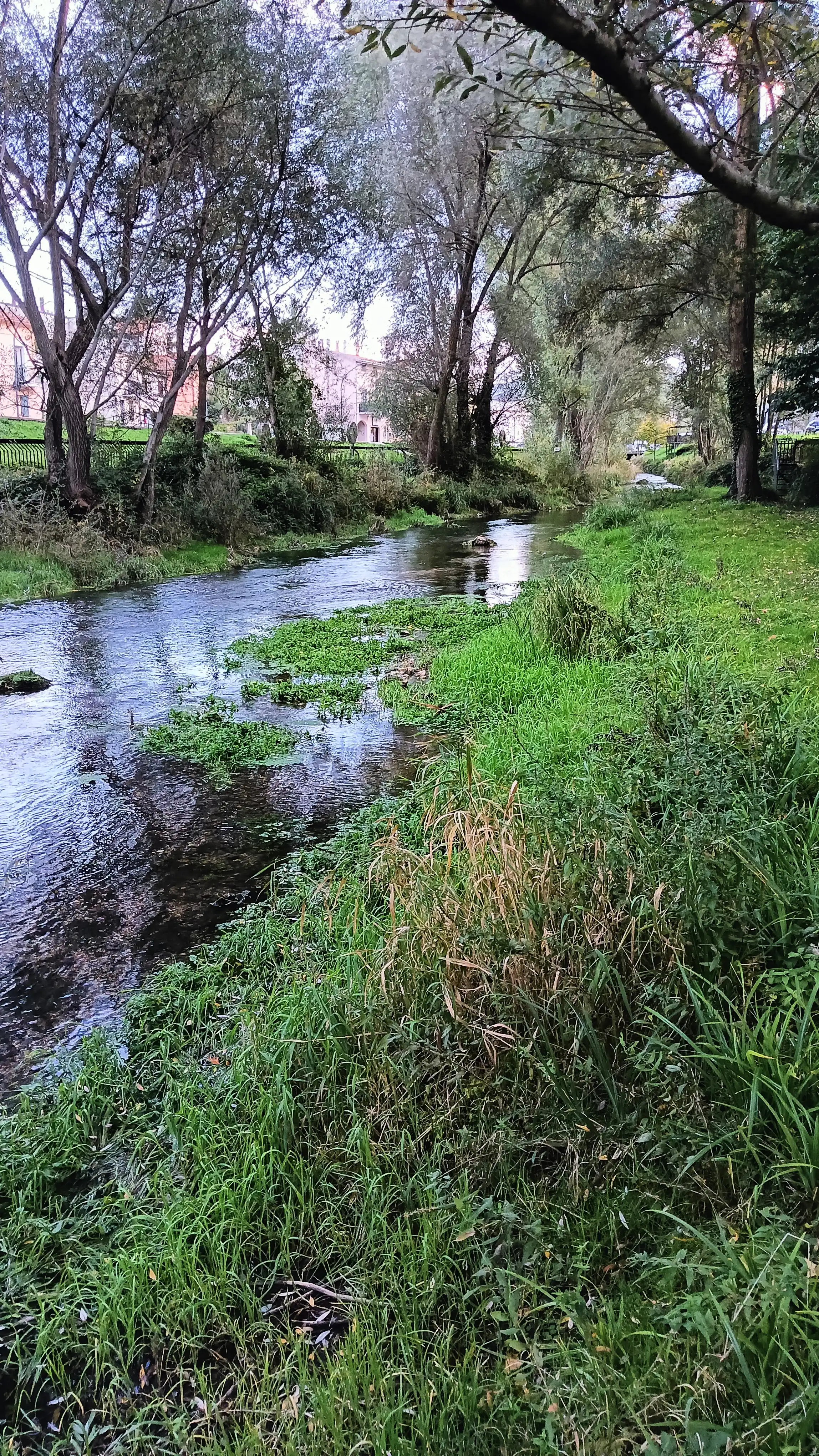 Fiume Zittola NoKill "Mosca secca"