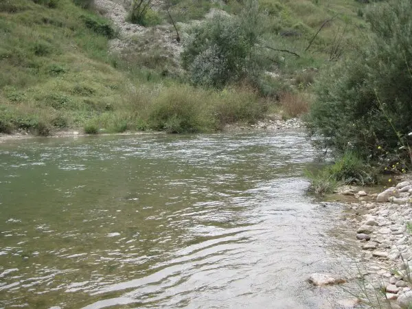 Fiume Aventino Vaccarda No-Kill